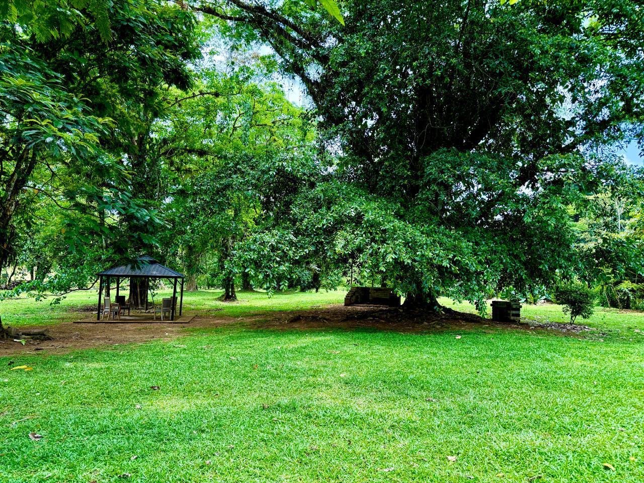 a38ce2ae-ef59-4547-a306-e2df432de0d3