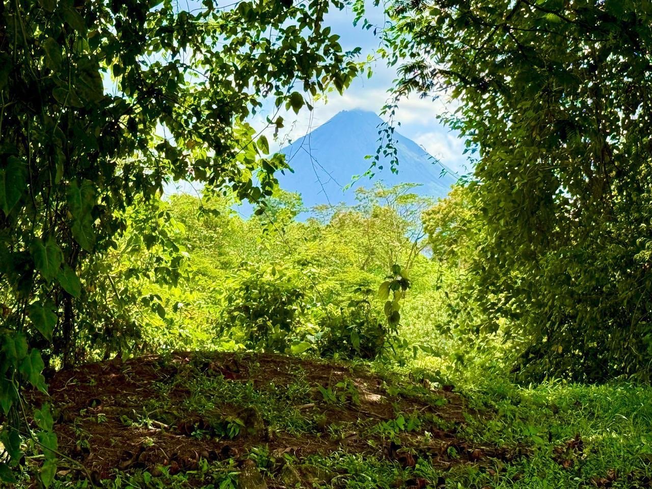 a552524b-249b-403c-9ec8-b0493afafa8b