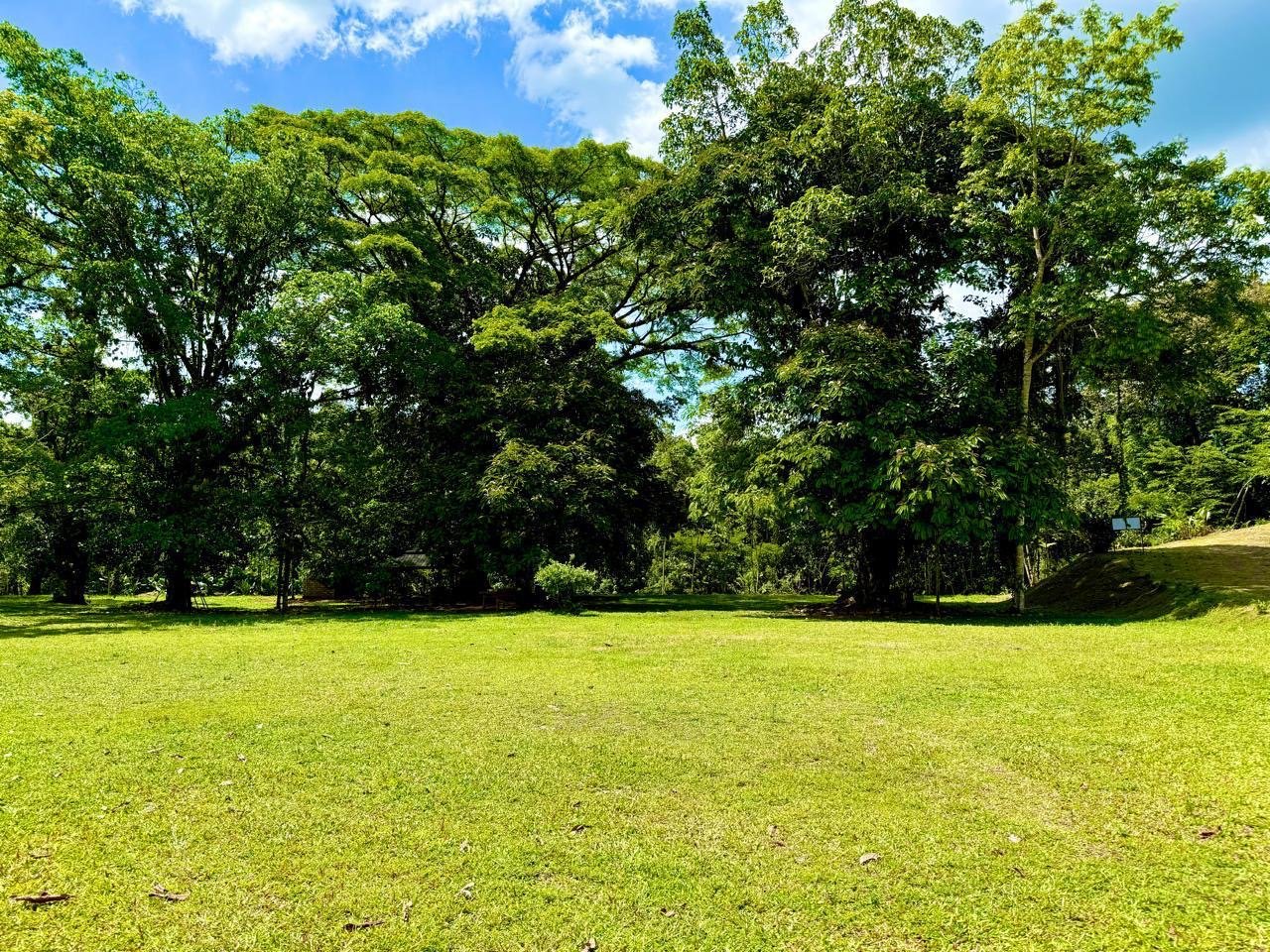 e51f8584-7328-4670-97e5-0e3c9fe1e4a4