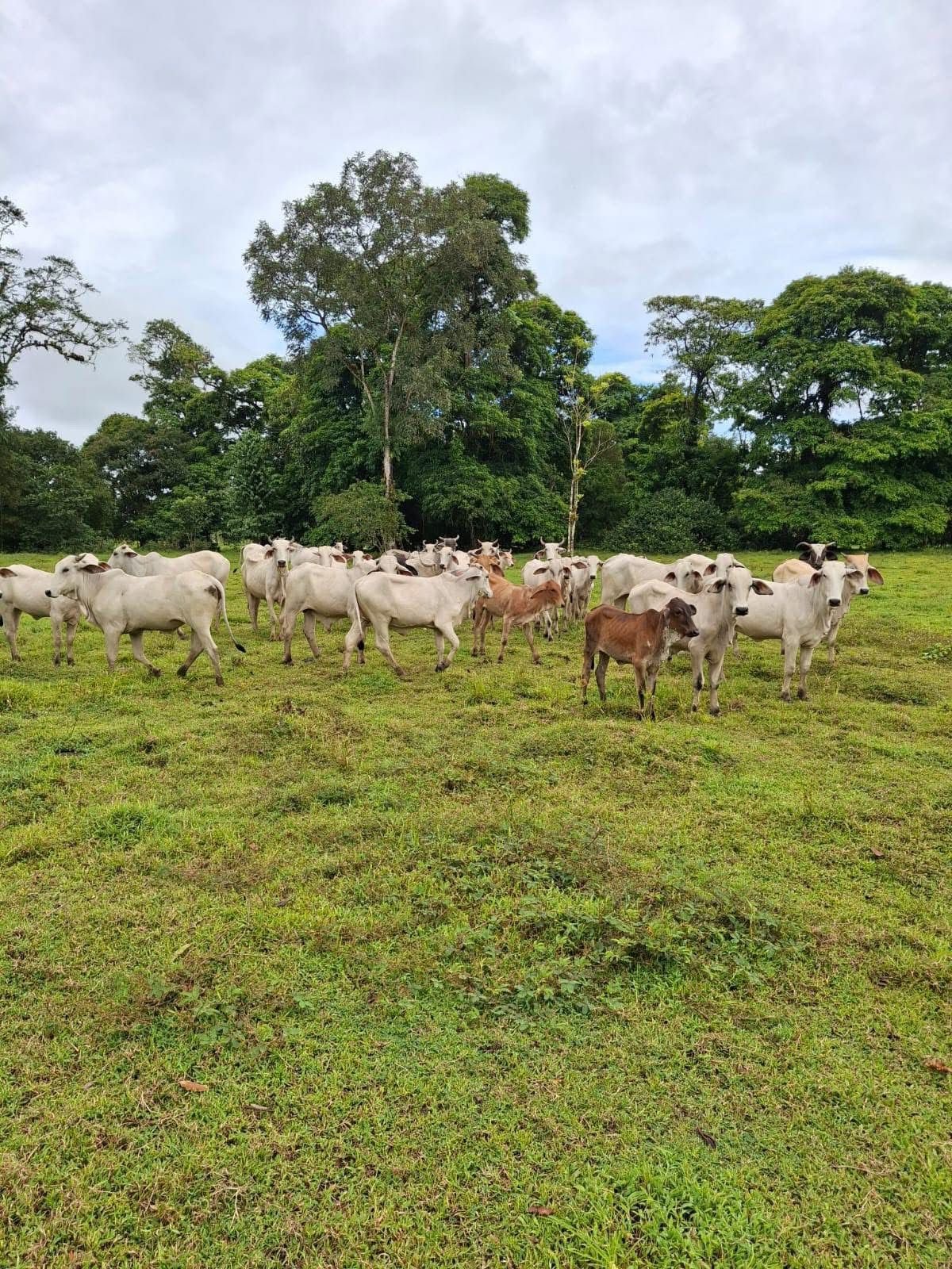 16fd8c60-e41f-44b2-87db-2a07528fa84e