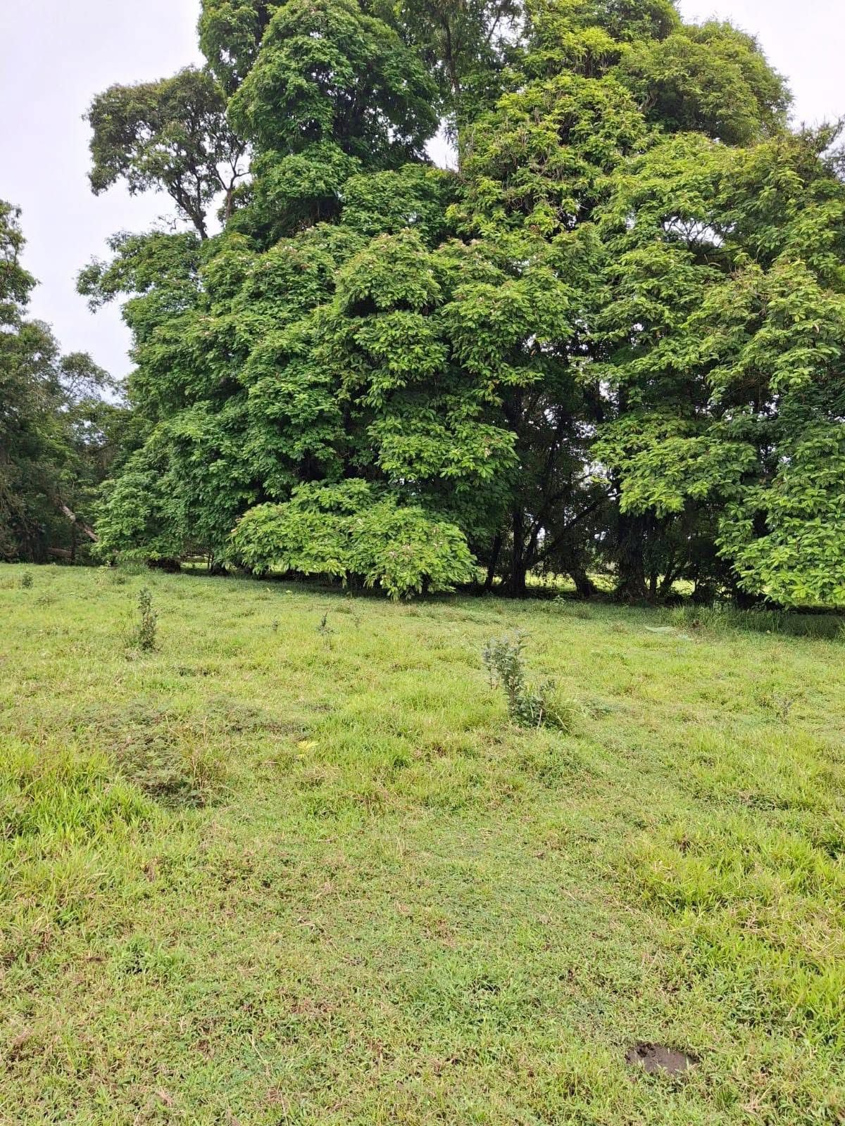 1a146b07-af62-42ed-9c3e-5f2792c5f684