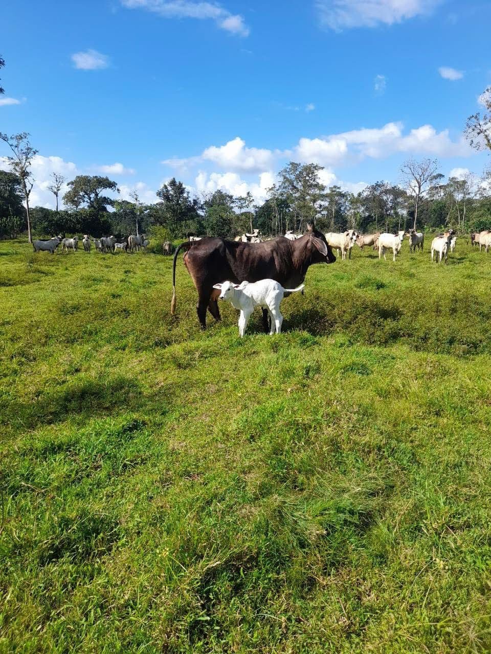 21d6b013-e671-4a52-89ff-5dee3c392fca