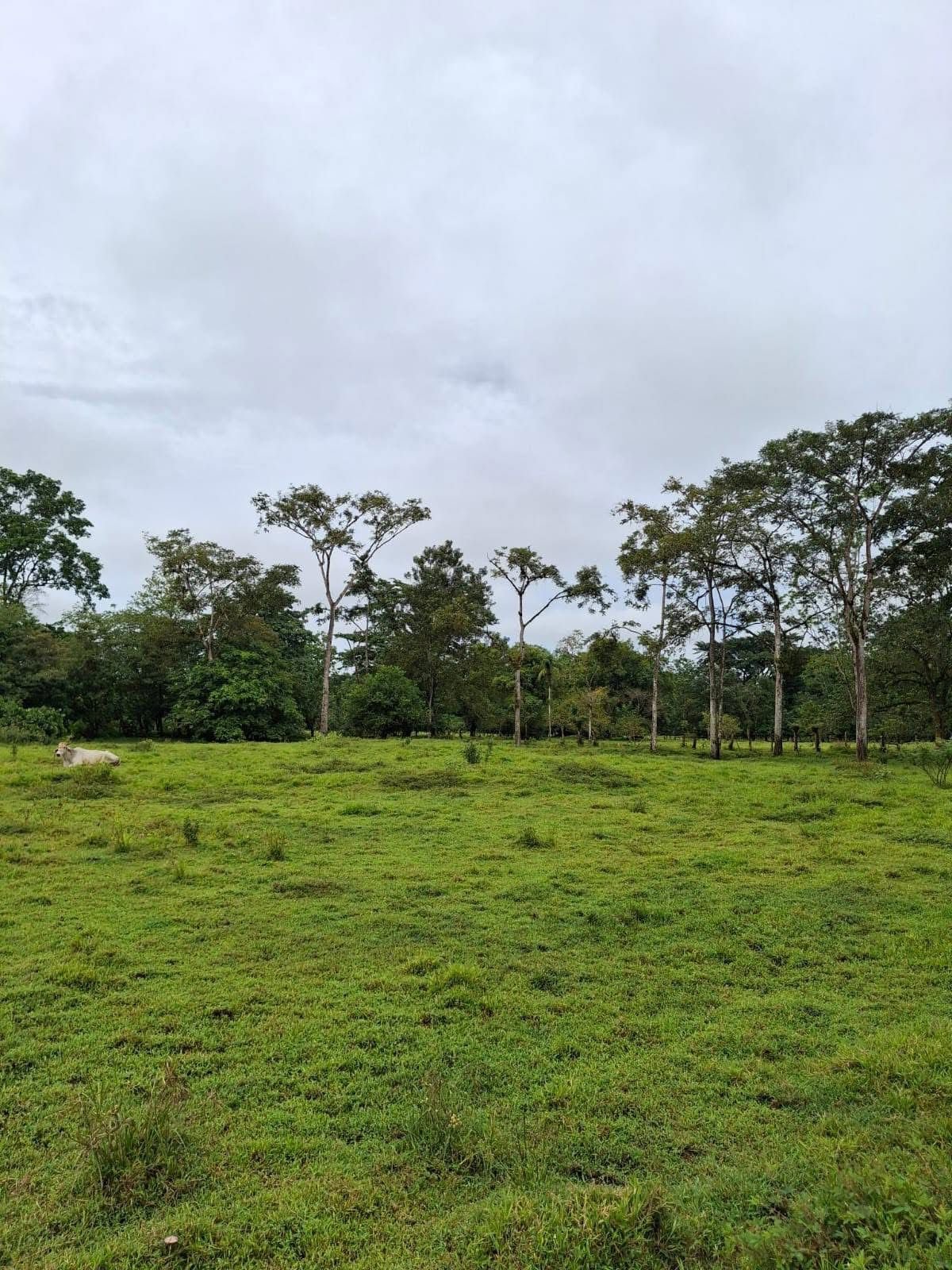 29f6be2d-4693-464f-94cc-b56c5a464a40