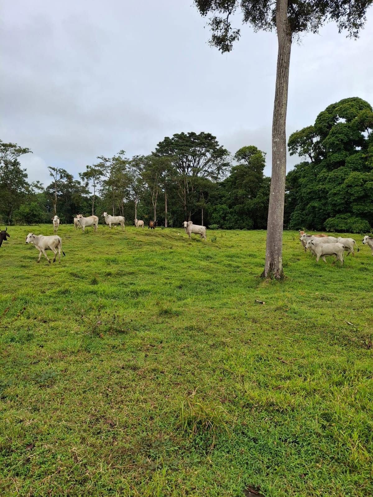 30bcd636-9557-46b2-92d1-6b807946fd78