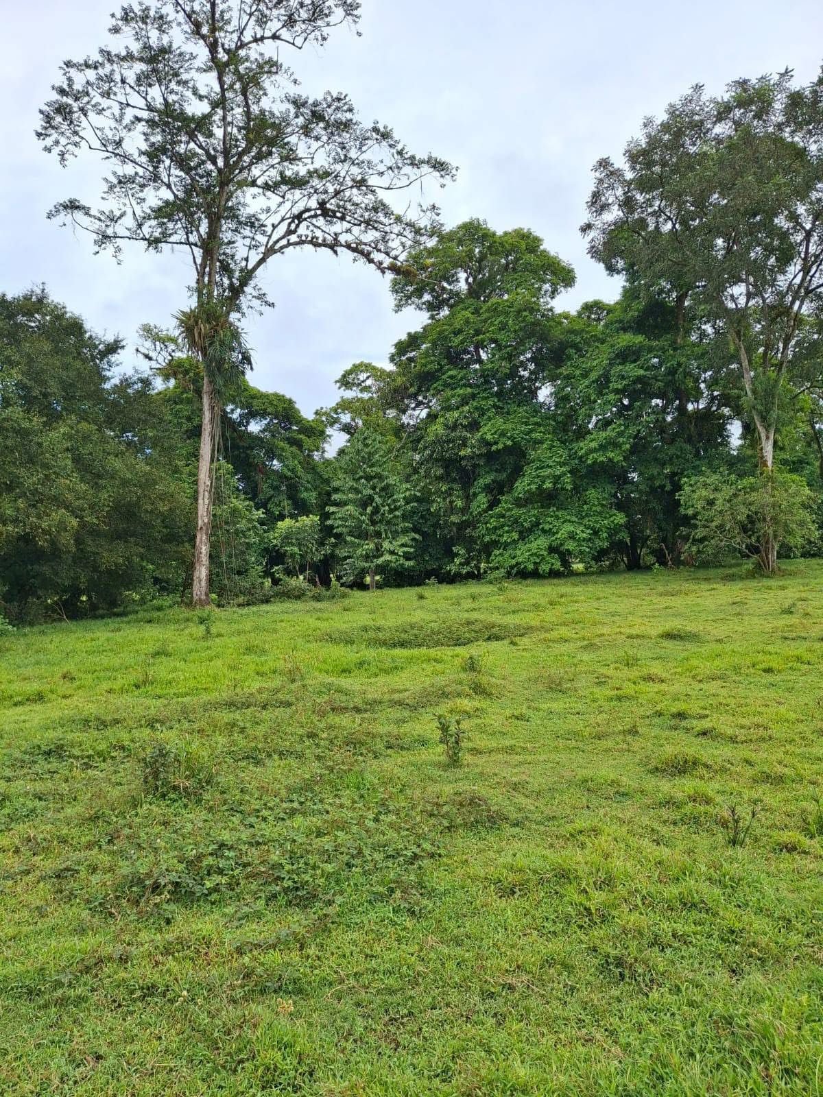 316aee67-658c-40a4-9adb-31e9ee3640a7