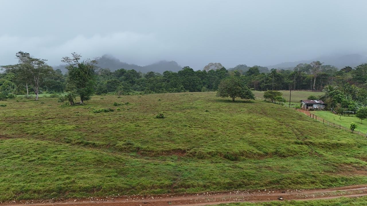 3c32e69e-d762-41cd-b03b-cd90b38d72fa