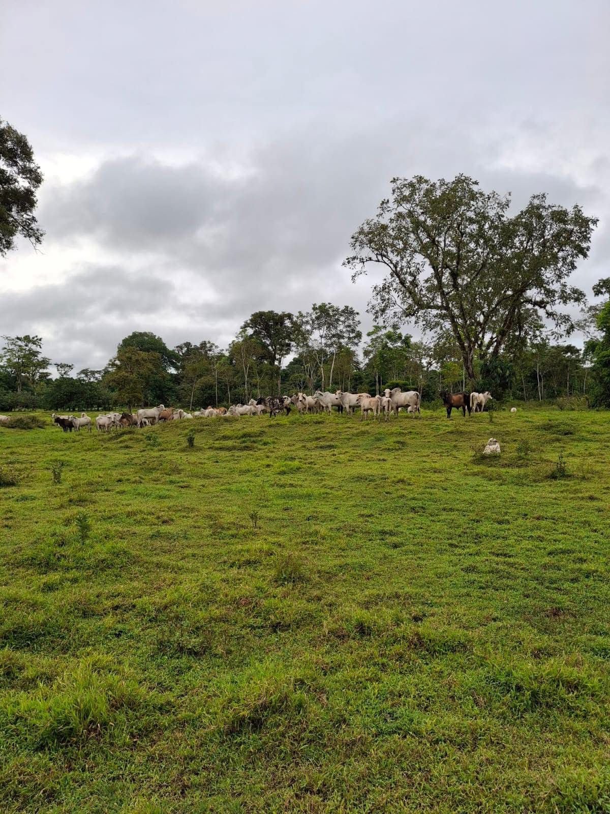 66b6746f-48a4-4b9f-b2c0-39ee39d450e3