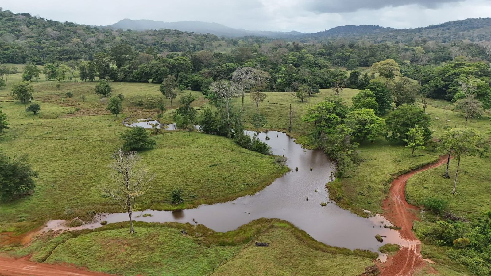 6780e786-a103-4833-bd54-336eeea28bc6