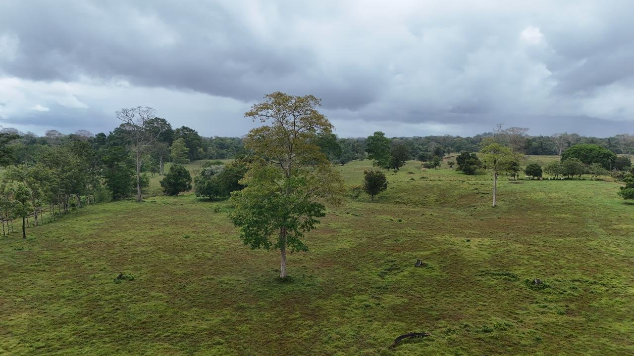 67e171c4-99aa-42cc-a52f-3886f7c25c2b