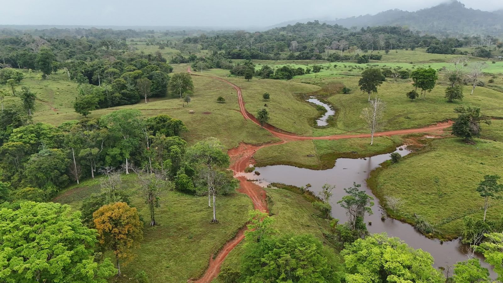 91ebcd97-a994-48b4-b40d-5a1c1d3824b2