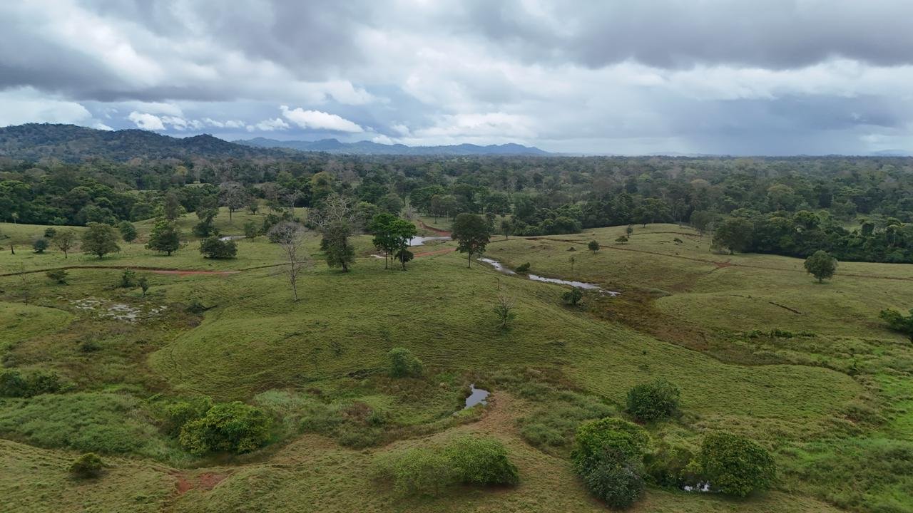 98ea645f-2e0c-46b7-9ac7-3eeacd55ed81