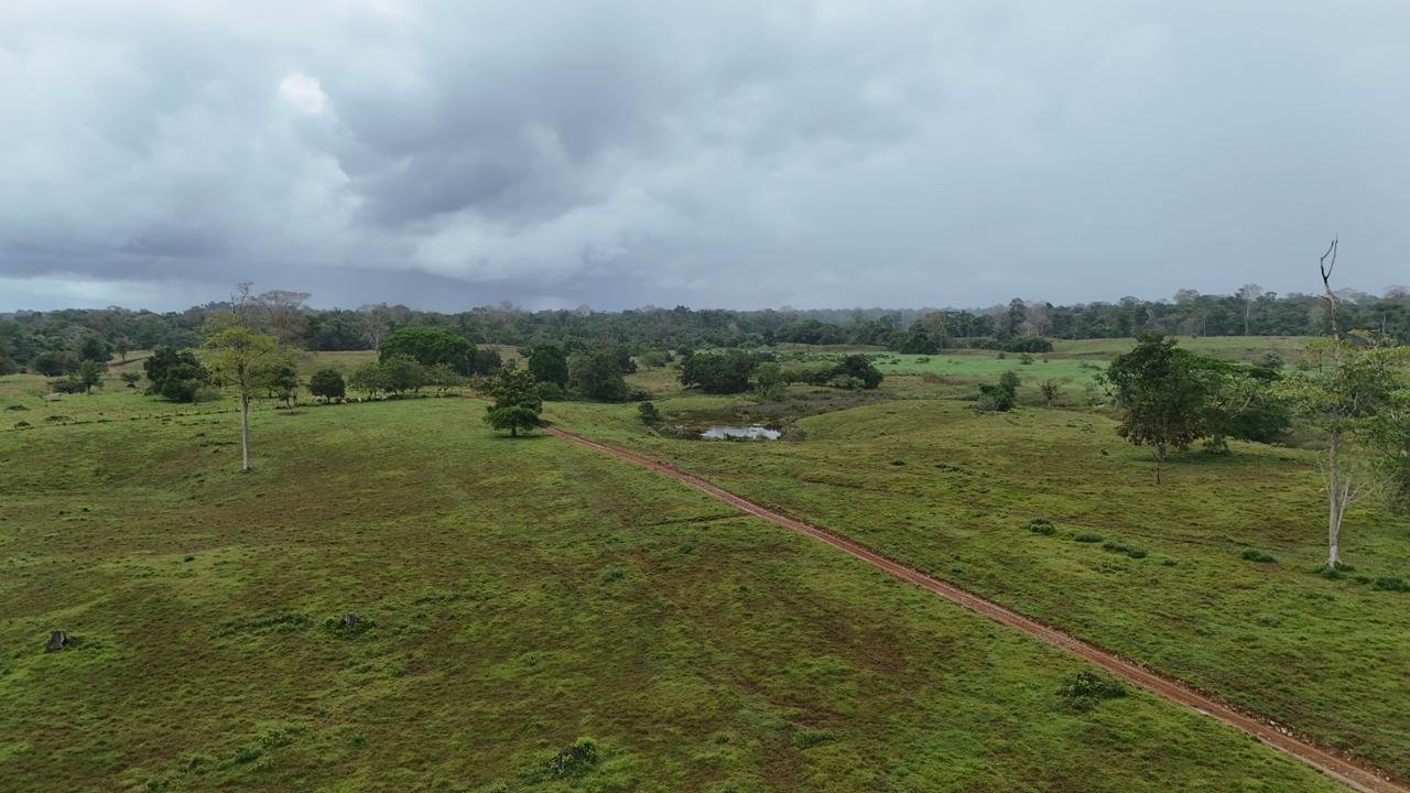 b1102688-eaaf-4ac4-84e6-a5d5f0b6ddc8