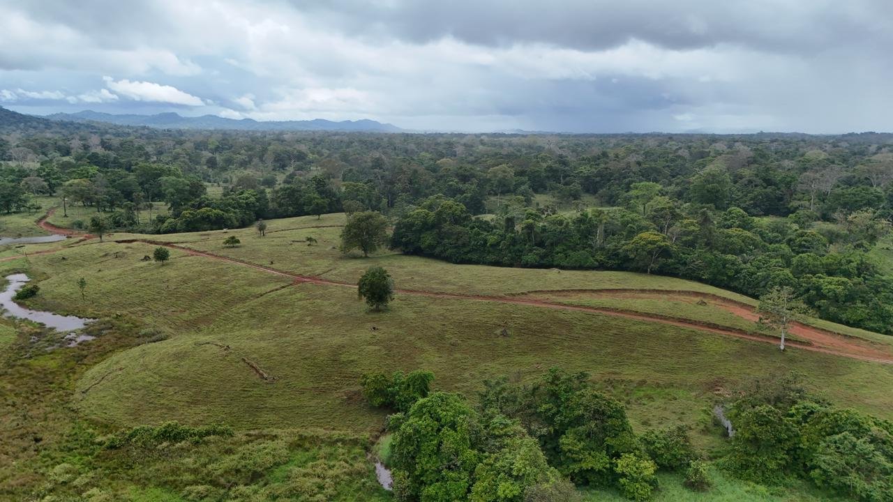 c6867d62-df96-4d10-bf18-348d4b049ffd