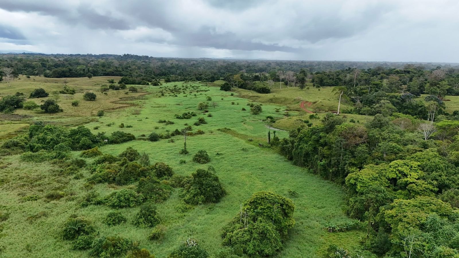 d16297ad-18b7-437a-ad0b-23eee5104f11