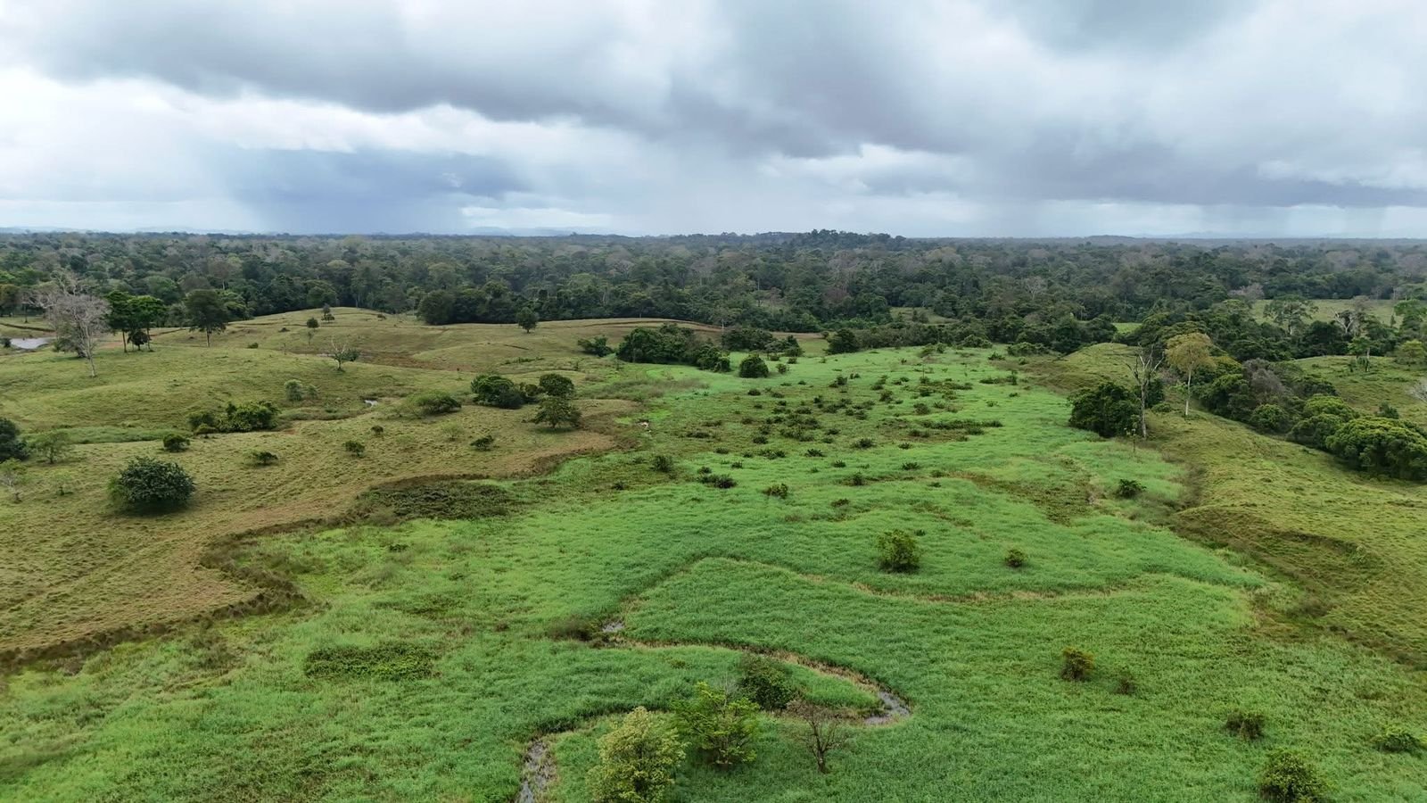 d6f72735-530f-4374-a532-501f8d5a6c75