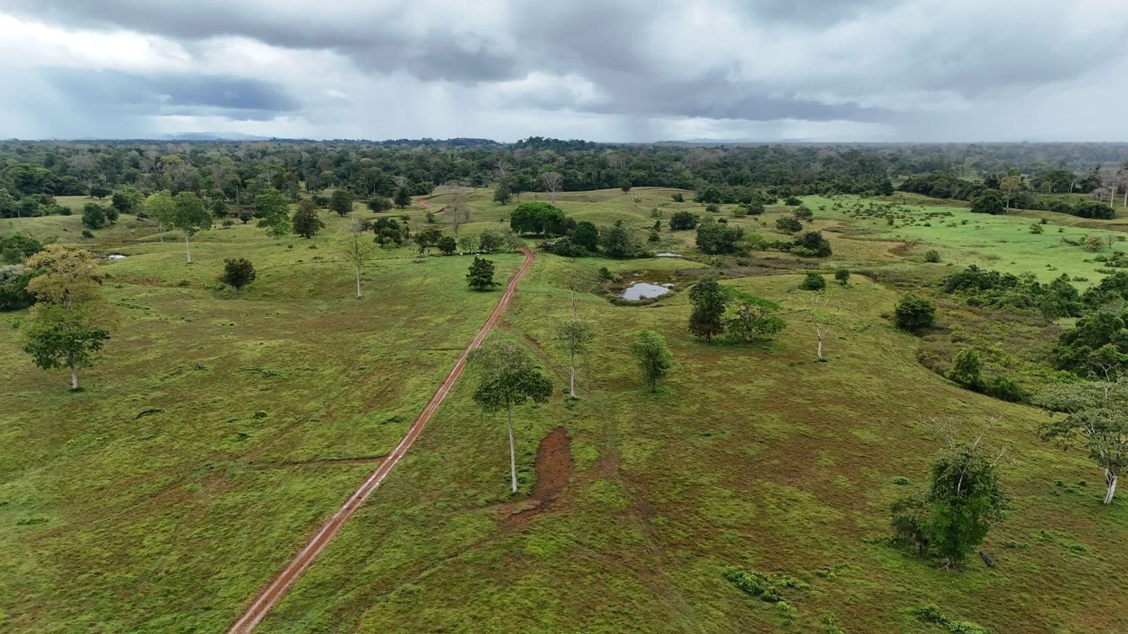 e3f4e594-dfc1-4070-a749-6d979d9a31ff