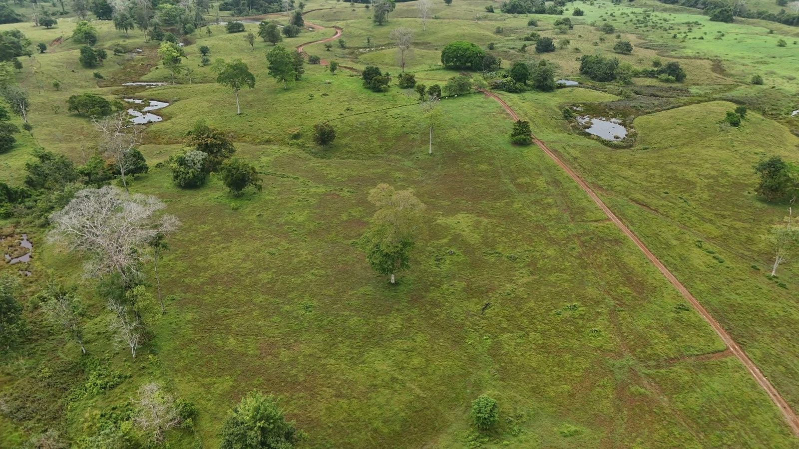 e575ecc2-3cb6-46d3-9283-65e201290402