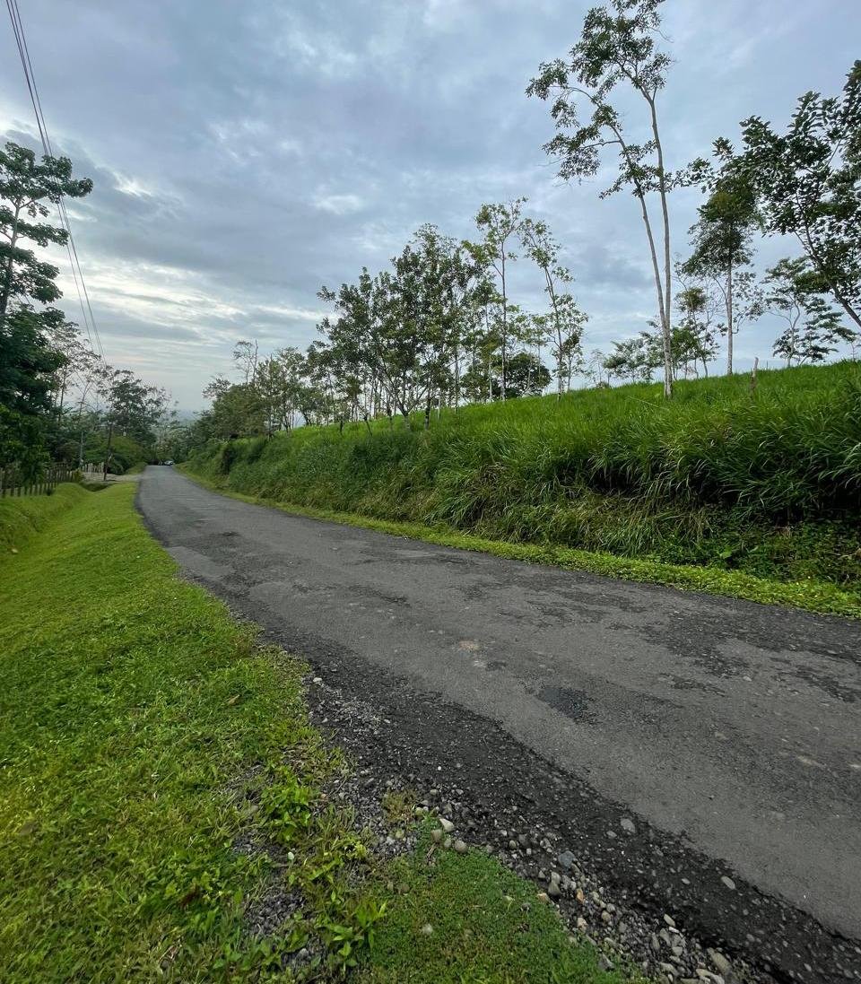 90ef3c69-70a4-4408-ab8a-0881cccdf5c0