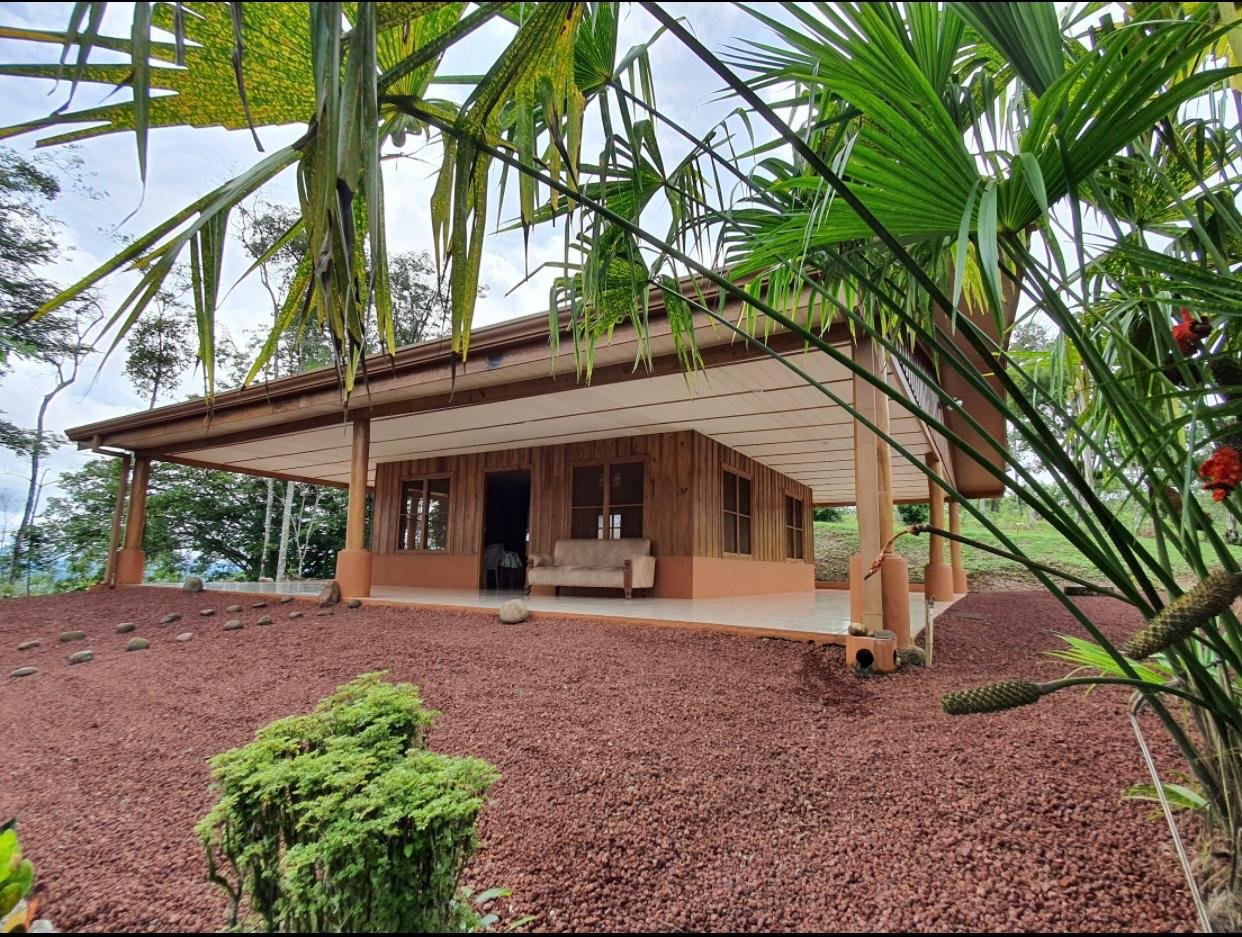 WhatsApp Image 2026-02-05 at 1.41.11 PM (6)