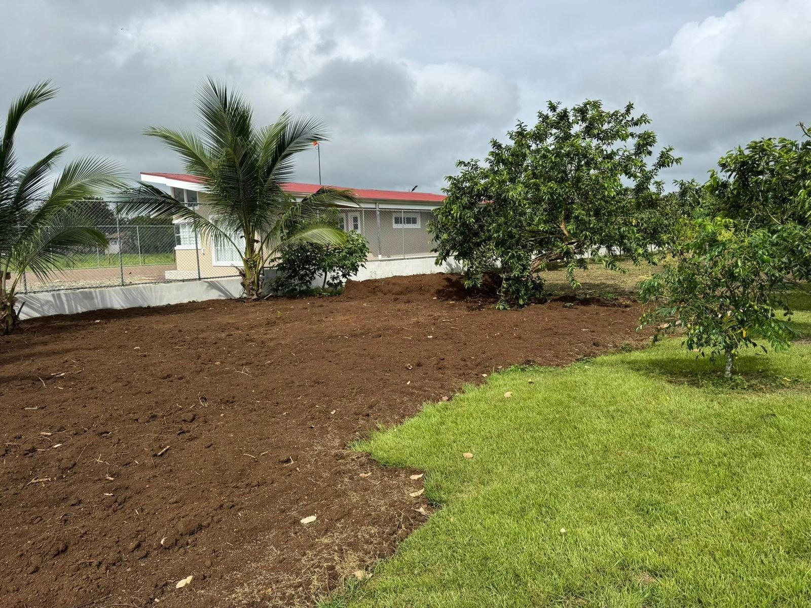 WhatsApp Image 2026-02-10 at 8.16.25 PM