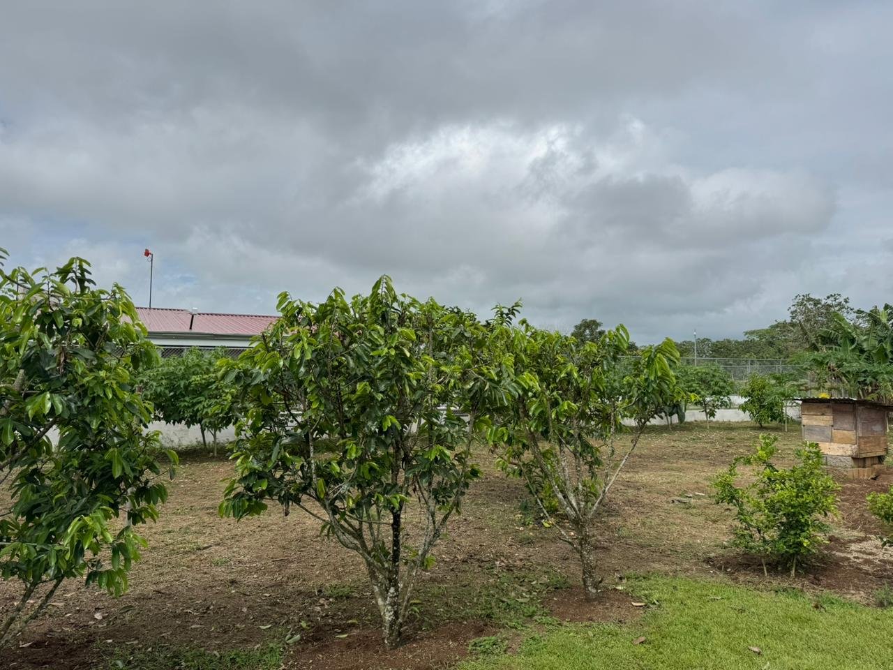 WhatsApp Image 2026-02-10 at 8.37.01 PM